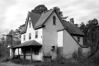 The Pine Barrens - #4