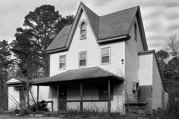 The Pine Barrens - #2