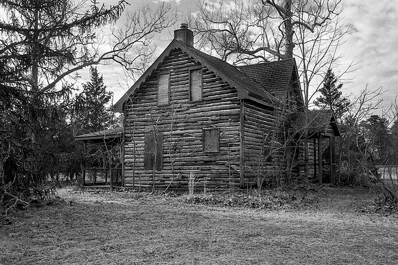 The Pine Barrens - #1