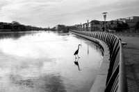 Asbury Park #6