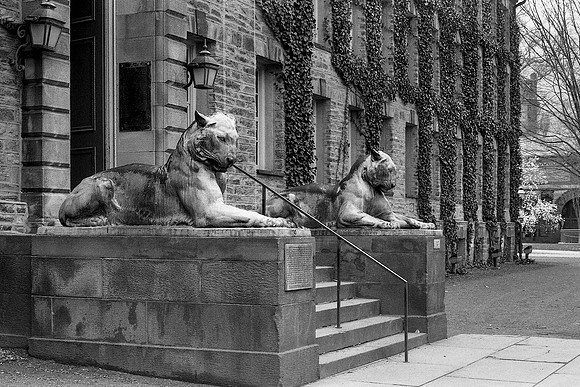 Princeton - NJ #10