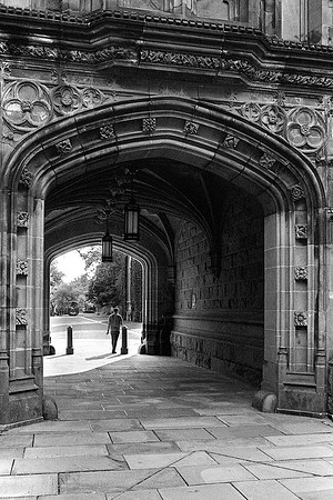 Princeton - NJ #19