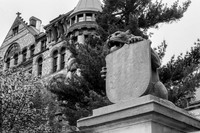 Princeton - NJ #9