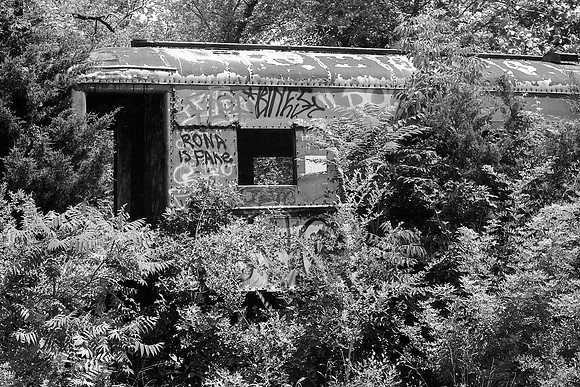 D&R Canal - Lambertville - #2