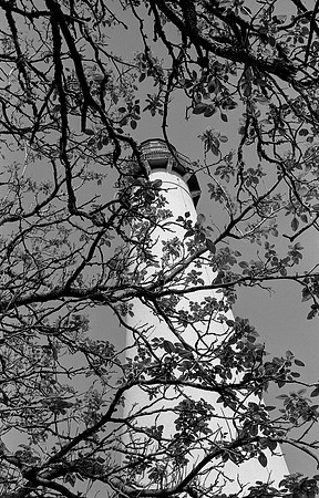 Cape May - NJ