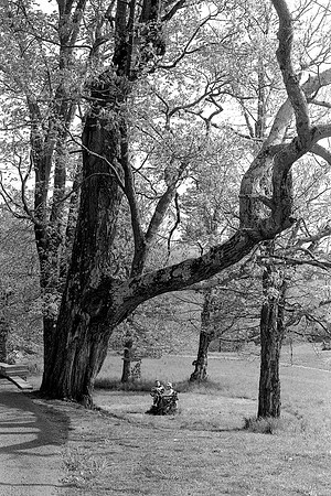 Olana in Hudson