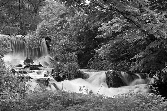 Rhinebeck