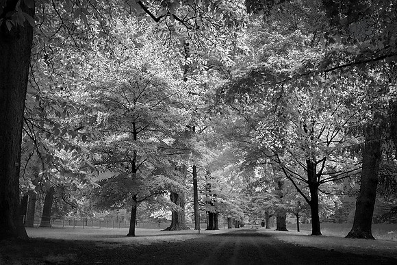 Hyde Park