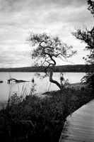 Saugerties - NY