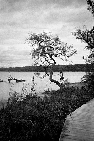 Saugerties - NY
