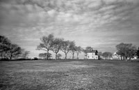 Agfa Photo 35 - Rollei RPX 400 - Sandy Hook - NJ