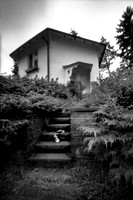 Where did I leave my shoes? PH#8