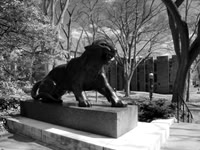 Princeton - NJ