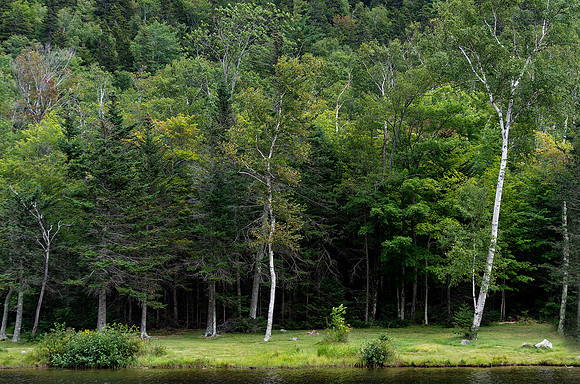 White Mountains - NH