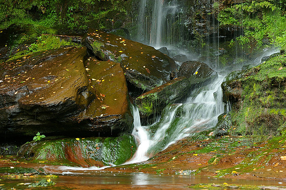 Oneonta - NY
