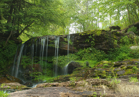 Oneonta - NY