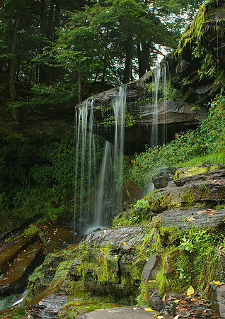 Oneonta - NY