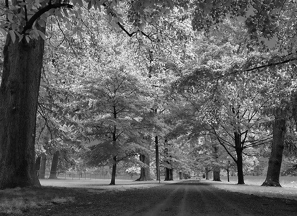 Hyde Park - NY