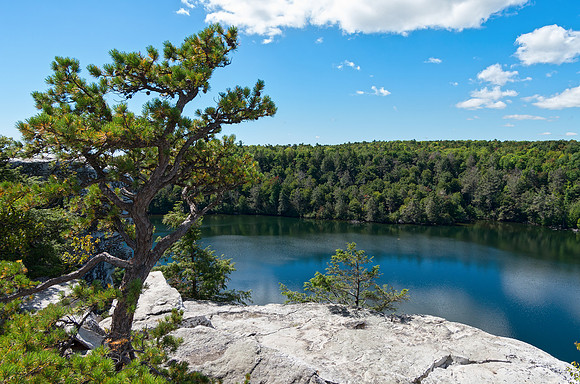 Minnewaska State Forrest - NY