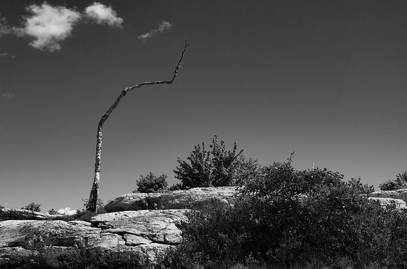 Minnewaska State Forrest - NY