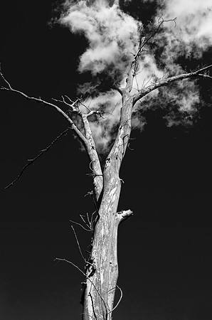 Minnewaska State Forrest - NY