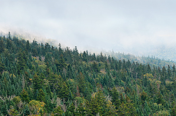 The Adirondack Mountains  - NY