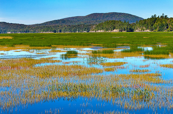 Tupper Lake - NY