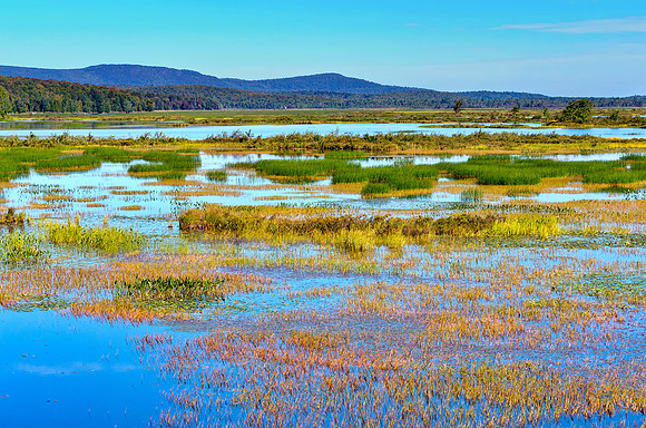 Tupper Lake - NY
