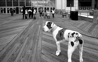 Fomapan 200 - Clayton F76 plus 1:9 - Asbury Park - NJ