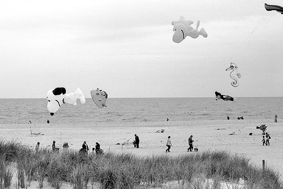 Ship Bottom - Long Beach Island - NJ