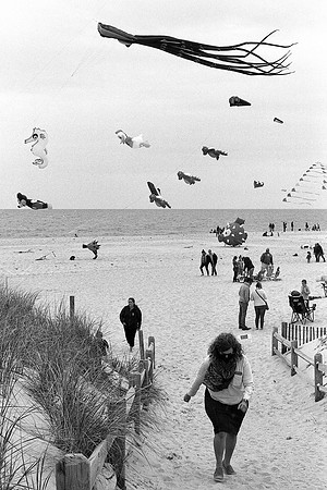 Ship Bottom - Long Beach Island - NJ