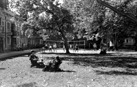 Kodak XX Pan - Pentax MX w/50mm lens