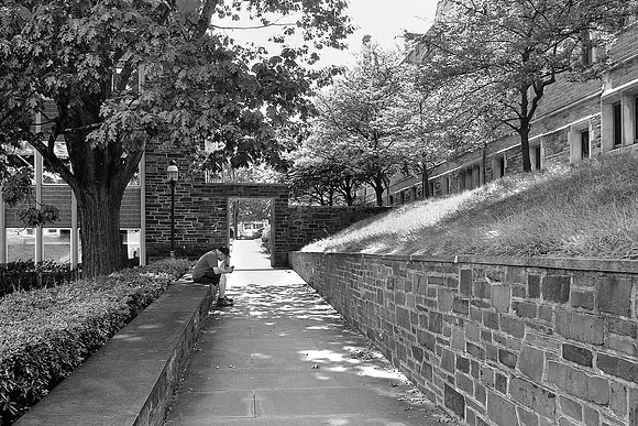 Rollei RPX 400 - Pentax K1000 w/35mm lens