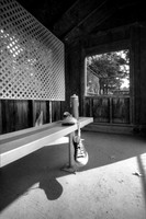 Where did I leave my shoes? PH#5